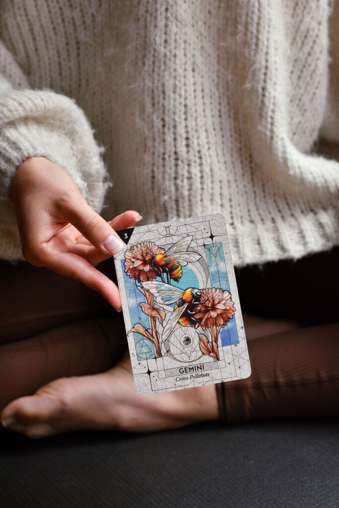 The programs featured image